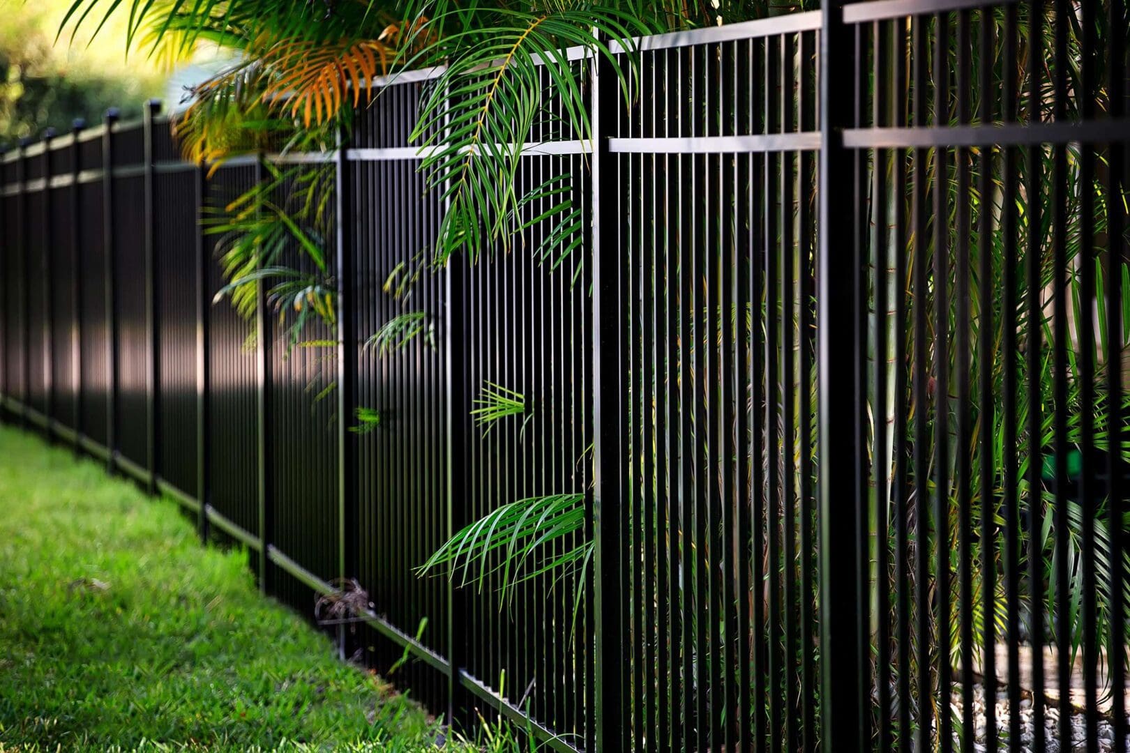 A black fence with trees in the background