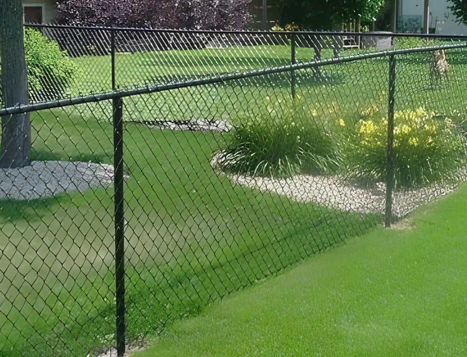 A chain link fence with grass growing in the middle.