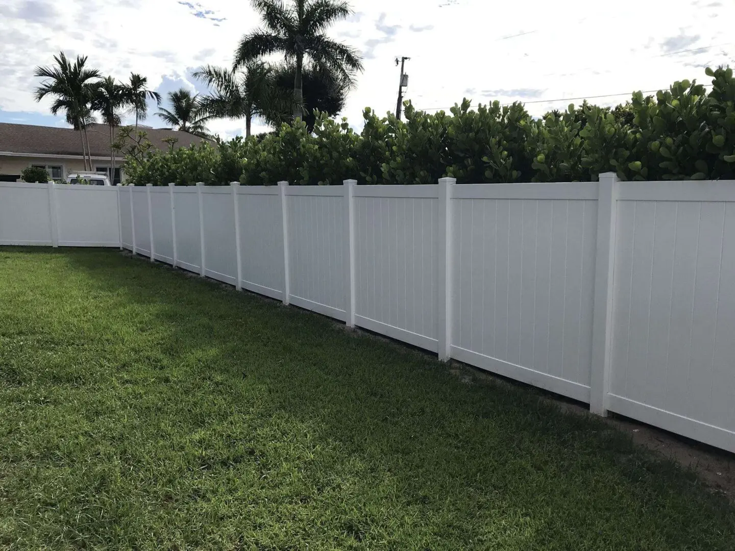 A white fence with palm trees in the background.