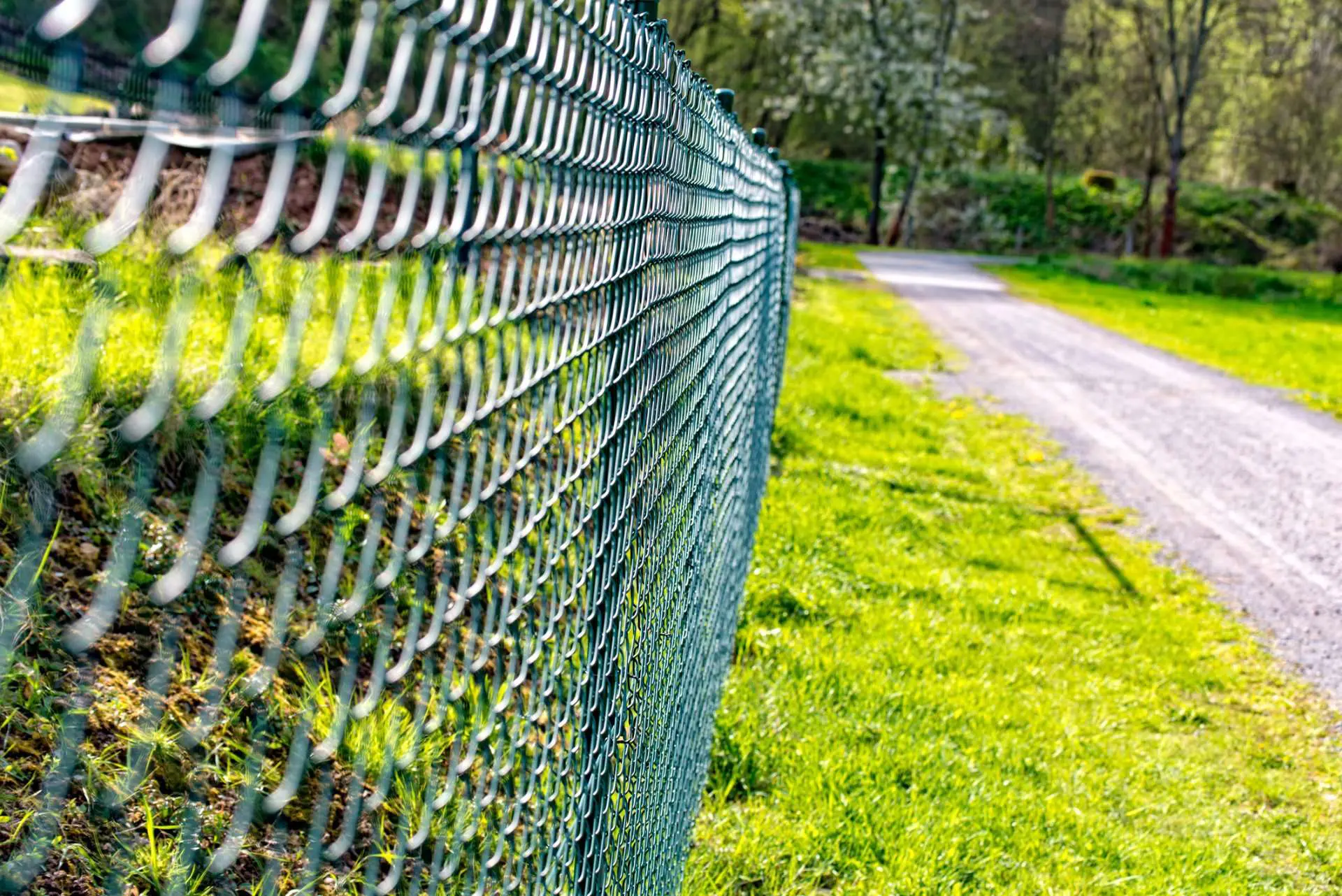 A fence with green metal wire and grass