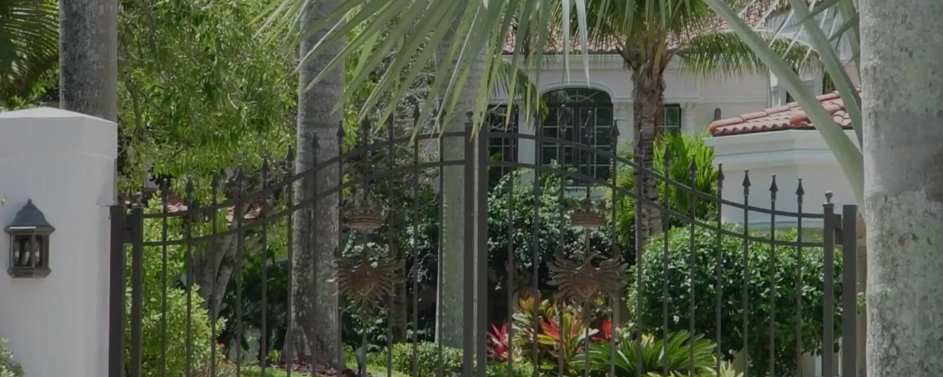 A garden with palm trees and bushes in the background.